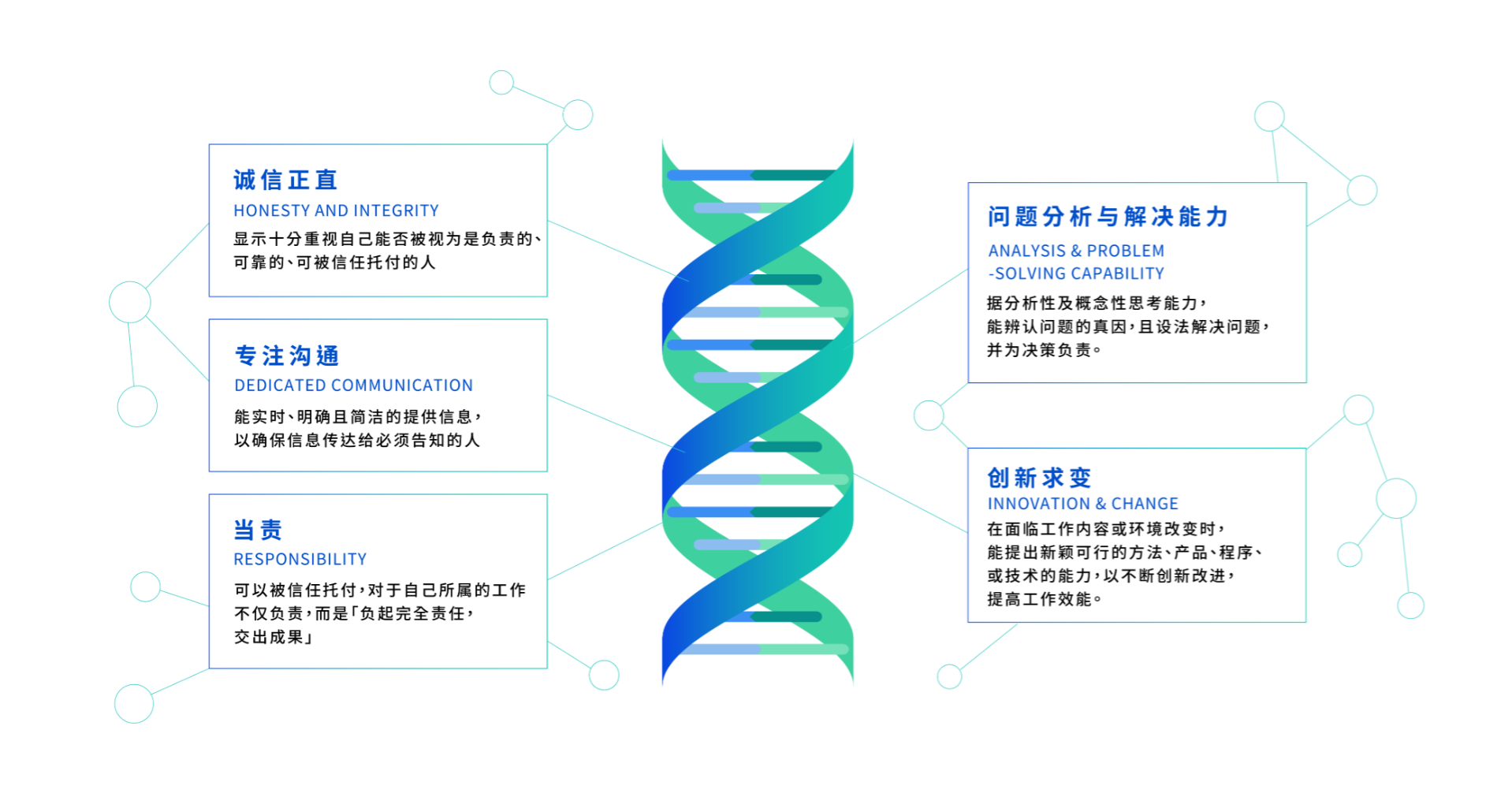 捷报比分人的DNA