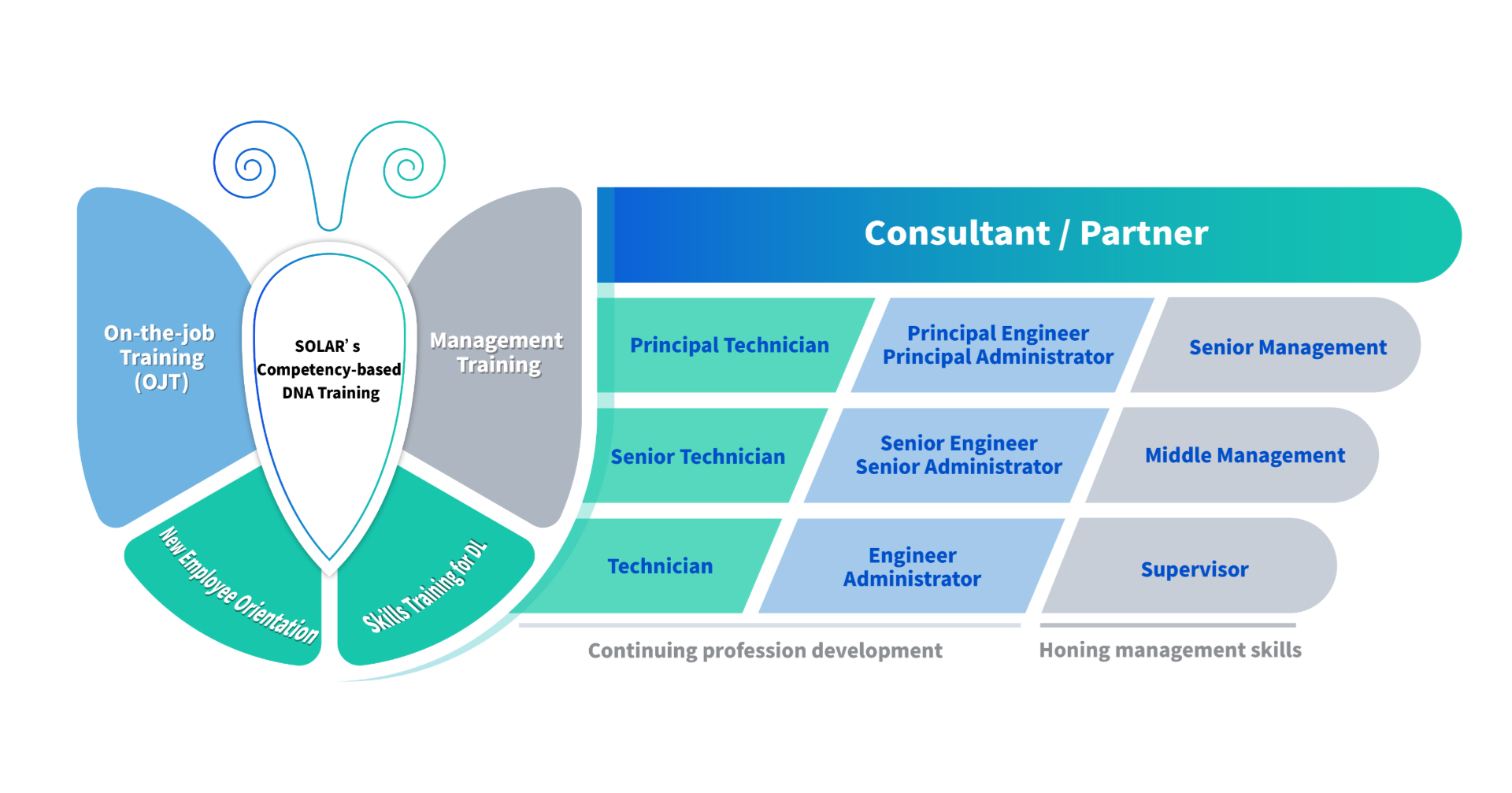 職涯發展藍圖 職涯發展藍圖