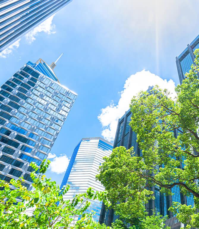 Corporate Sustainability